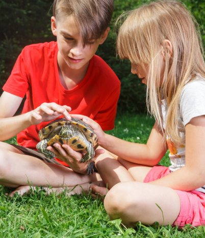 boy and girl seated in grass holding a turtle