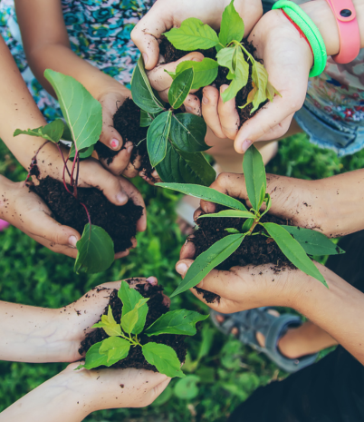 hands holding soil with small plants