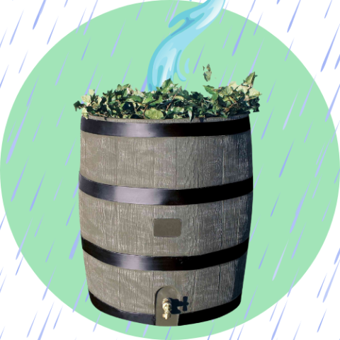 A rain barrel being filled with water. 